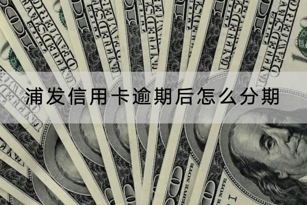 浦發(fā)信用卡逾期后怎么分期