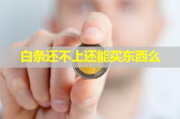 白條還不上還能買東西么？詳細(xì)說明
