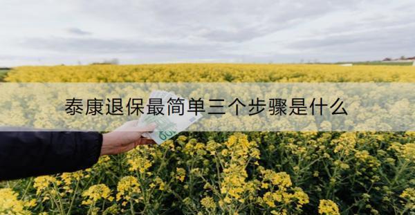 泰康退保最簡(jiǎn)單三個(gè)步驟是什么？線上不退保的原因有哪些？