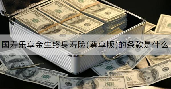 國(guó)壽樂享金生終身壽險(xiǎn)(尊享版)的條款是什么？怎么購(gòu)買？