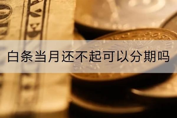 白條當(dāng)月還不起可以分期嗎？