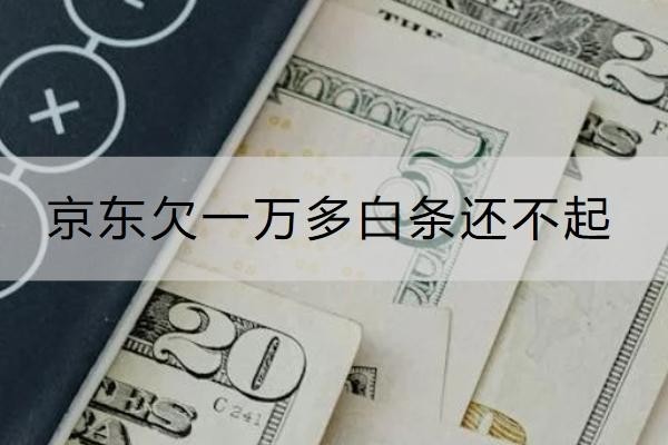 京東欠一萬多白條還不起怎么辦？這個方法一定要知道