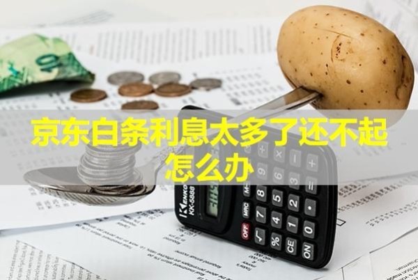 京東白條利息太多了還不起怎么辦？會產(chǎn)生哪些后果？
