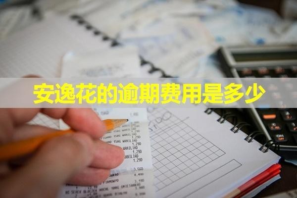 安逸花的逾期費(fèi)用是多少？一文解答