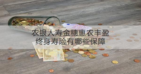 農(nóng)銀人壽金穗惠農(nóng)豐盈終身壽險有哪些保障？值得買嗎？