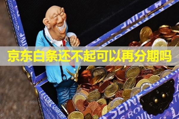 京東白條還不起可以再分期嗎？