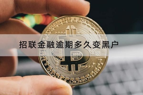 招聯(lián)金融逾期多久變黑戶？變黑戶了怎么辦？