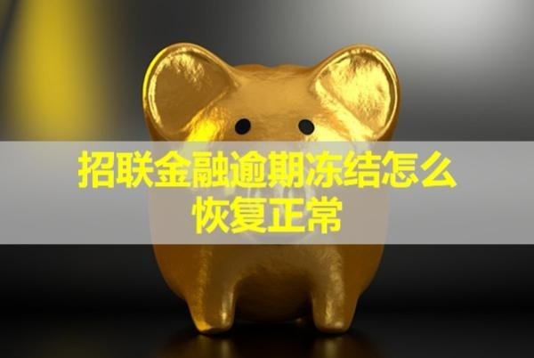 招聯(lián)金融逾期凍結(jié)怎么恢復(fù)正常？試試這三種方式