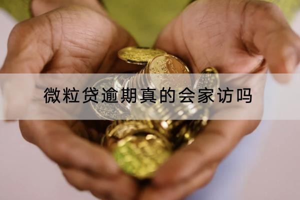 微粒貸逾期真的會家訪嗎？上門催收這樣應(yīng)對！