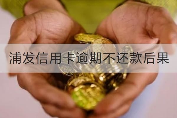 浦發(fā)信用卡逾期不還款后果有哪些？竟然這么嚴重