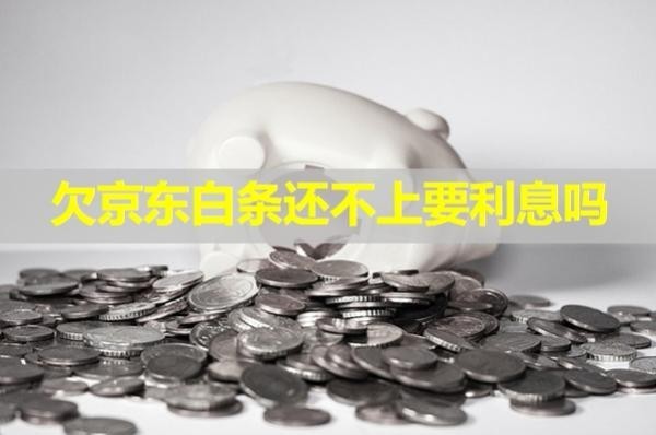 欠京東白條還不上要利息嗎？