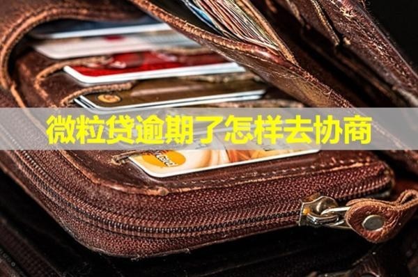 微粒貸逾期了怎樣去協(xié)商？
