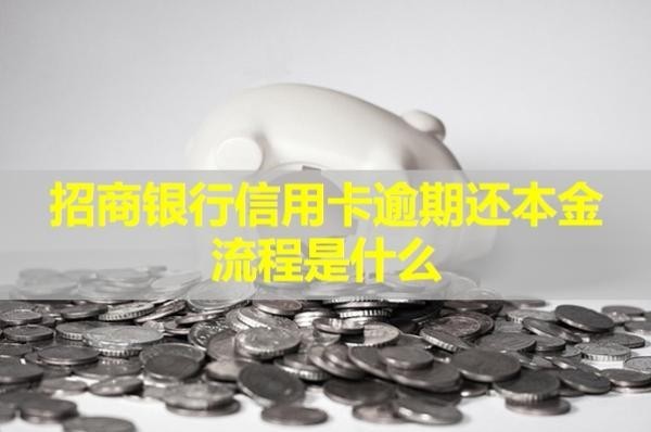 招商銀行信用卡逾期還本金流程是什么？詳細(xì)情況解析