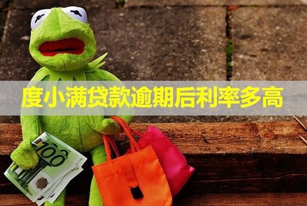 度小滿貸款逾期后利率多高？能協(xié)商減免嗎？