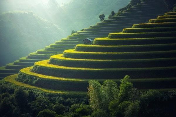 吉祥至尊兩全保險(xiǎn)20年后返多少錢？紅利分配方式有哪些？
