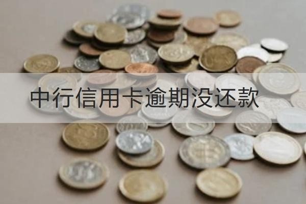 中行信用卡逾期沒還款怎么辦？這三個(gè)年限要知道
