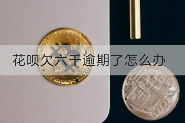 花唄欠六千逾期了怎么辦？解決辦法很多