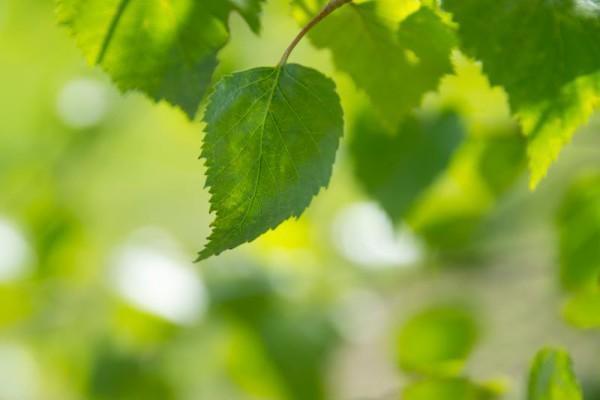 華夏保險(xiǎn)福臨門交十年能拿出來嗎