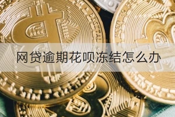 網(wǎng)貸逾期花唄凍結(jié)怎么辦？這幾個(gè)方法一定要知道