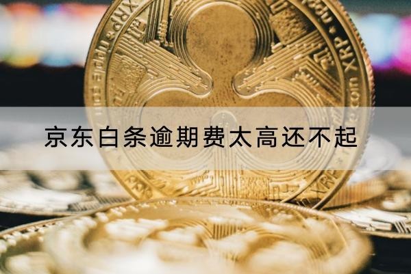 京東白條逾期費(fèi)太高還不起怎么解決？這幾個(gè)方法一定要知道