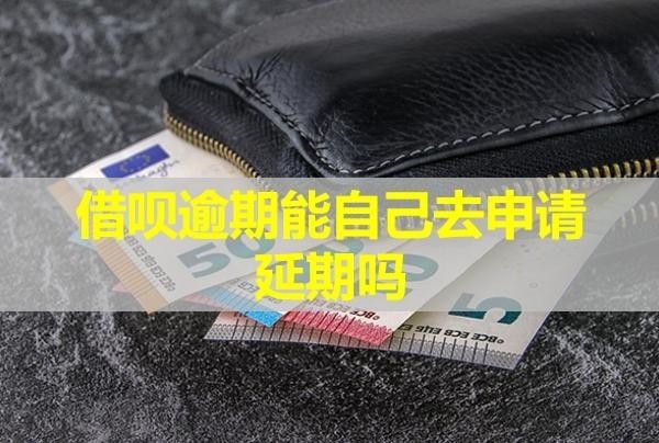 借唄逾期能自己去申請(qǐng)延期嗎？不同意怎么辦？