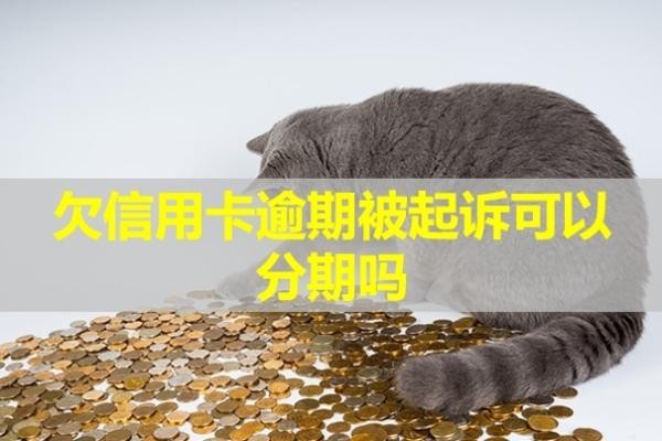 欠信用卡逾期被起訴可以分期嗎？有什么后果？