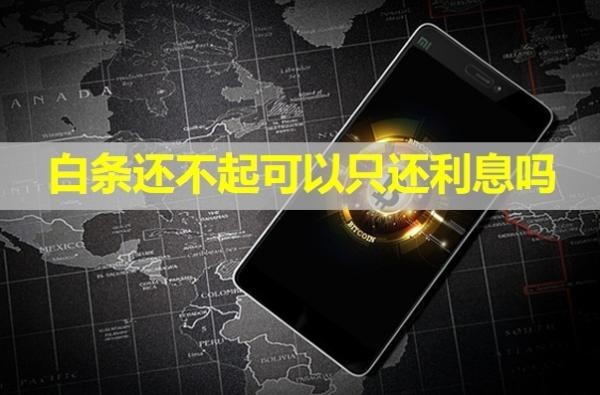 白條還不起可以只還利息嗎？注銷可以嗎？