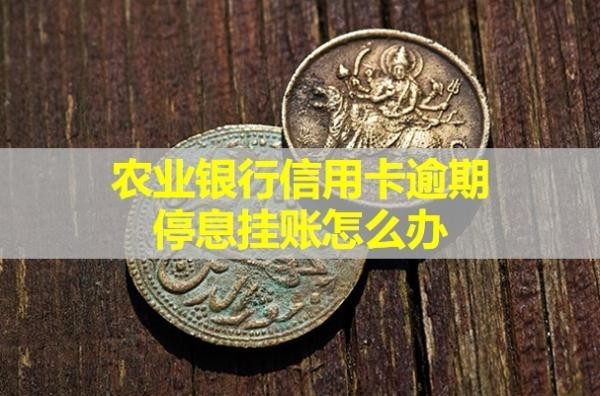農(nóng)業(yè)銀行信用卡逾期停息掛賬怎么辦？成功幾率大嗎？