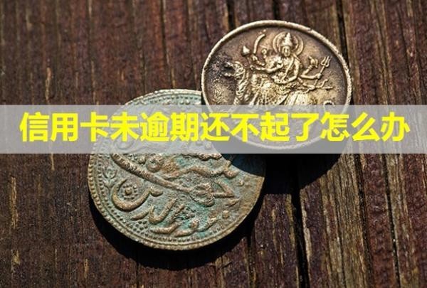 信用卡未逾期還不起了怎么辦