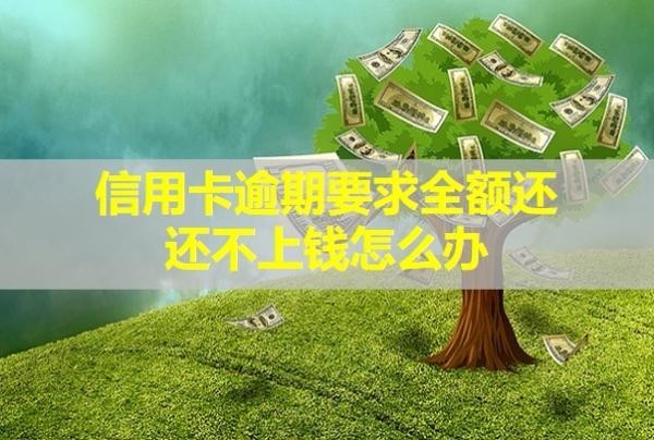 信用卡逾期要求全額還還不上錢怎么辦？可以減免利息嗎？