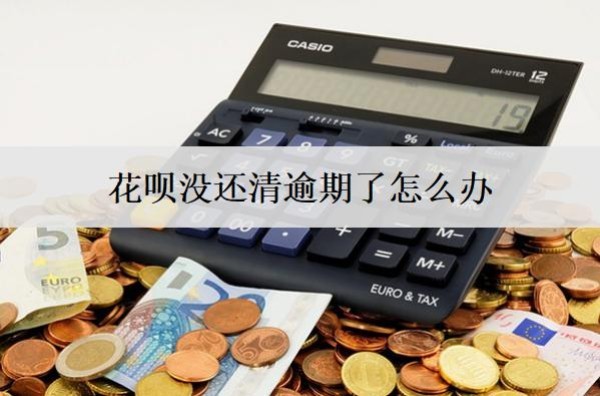 花唄沒還清逾期了怎么辦？會怎么樣？