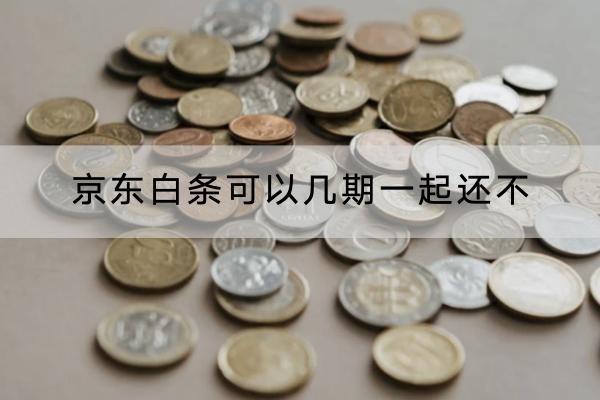 京東白條可以幾期一起還不？詳細(xì)解析