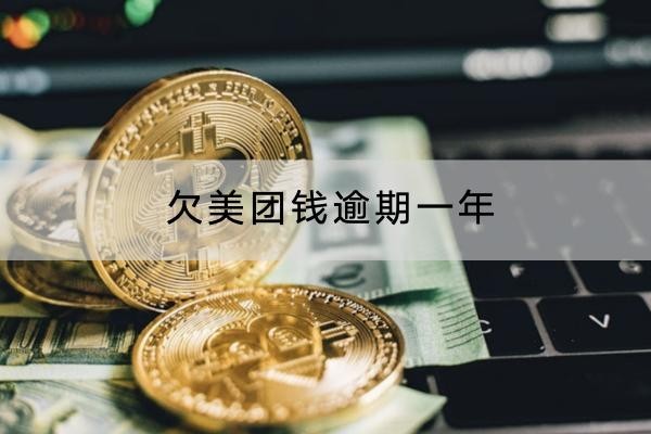 欠美團(tuán)錢逾期一年怎么應(yīng)對(duì)？別慌，方法很多！