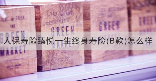 人保壽險臻悅一生終身壽險(B款)怎么樣？收益怎樣？