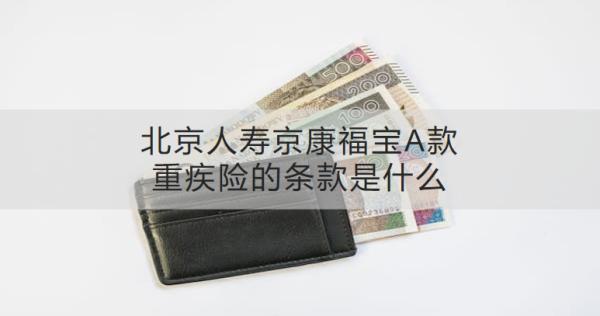 北京人壽京康福寶A款重疾險(xiǎn)