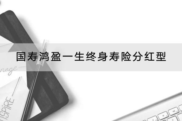 國(guó)壽鴻盈一生終身壽險(xiǎn)分紅型有哪些投保要求？提供什么保障？