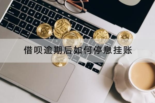 借唄逾期后如何停息掛賬？操作流程解析