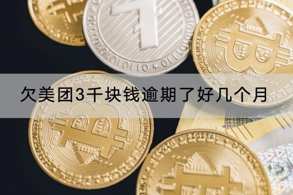 欠美團3千塊錢逾期了好幾個月嚴重嗎？原來真的會被起訴