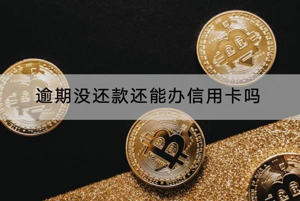 逾期沒還款還能辦信用卡嗎？辦理方式解析