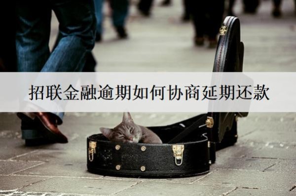 招聯(lián)金融逾期如何協(xié)商延期還款？按這個步驟協(xié)商