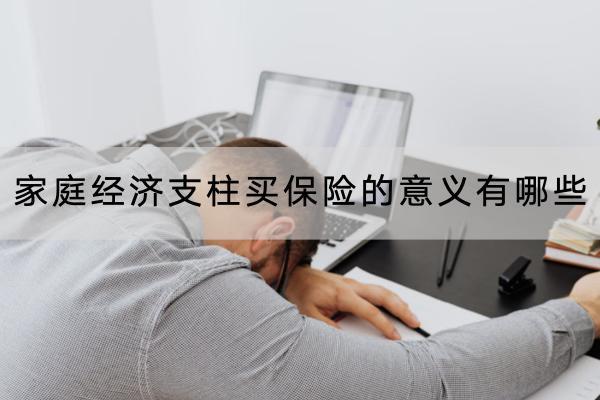 家庭經(jīng)濟(jì)支柱買保險(xiǎn)的意義有哪些