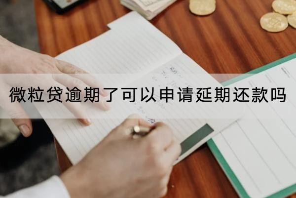 微粒貸逾期了可以申請(qǐng)延期還款嗎？延期注意事項(xiàng)