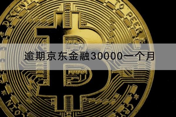逾期京東金融30000一個月罰息多少？減免政策解析