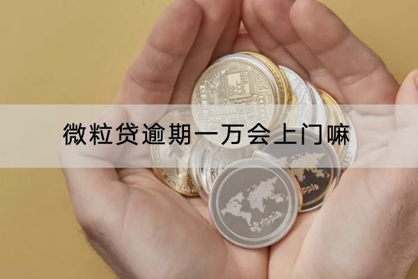 微粒貸逾期一萬(wàn)會(huì)上門嘛？詳細(xì)解析