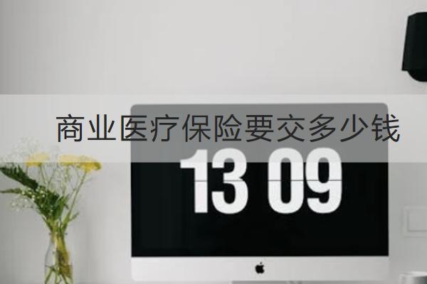 商業(yè)醫(yī)療保險要交多少錢