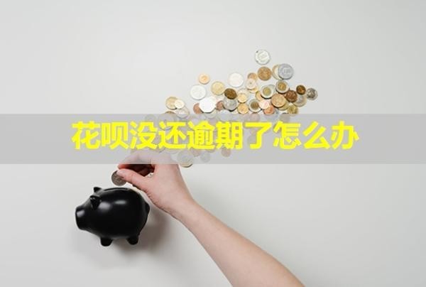 花唄沒還逾期了怎么辦？