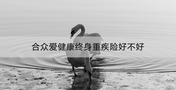 合眾愛健康終身重疾險好不好？適合什么人群？