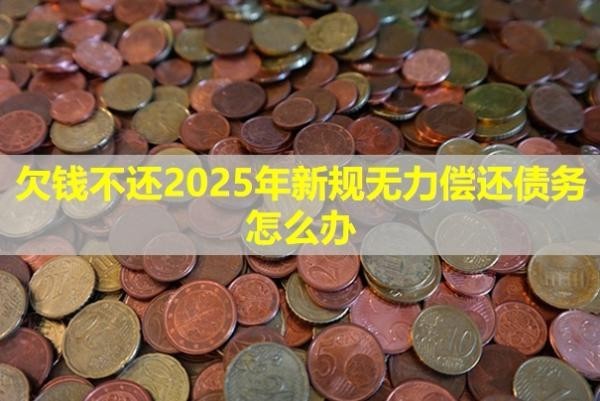 欠錢不還2025年新規(guī)無力償還債務(wù)怎么辦？