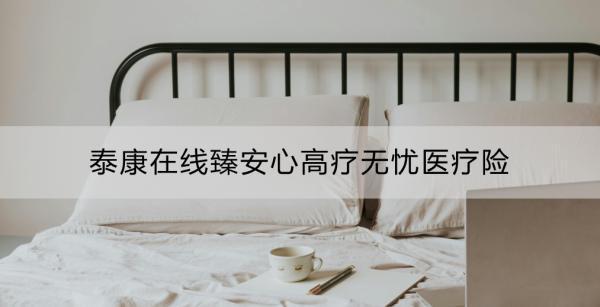 泰康在線臻安心高療無憂醫(yī)療險(xiǎn)怎么樣？如何購買？