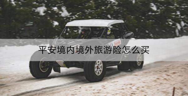 平安境內(nèi)境外旅游險怎么買？保障全面嗎？